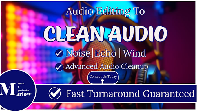 do professional audio repair and noise reduction