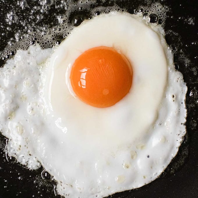 Make a song of me singing about eggs for you by Gamingwcd | Fiverr