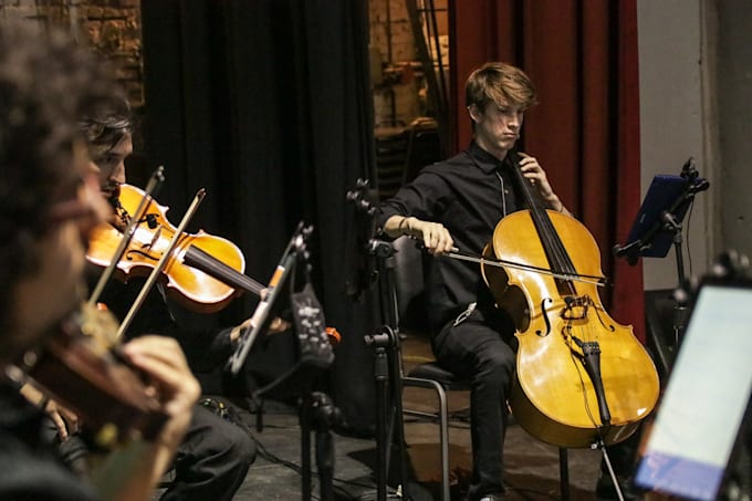 record high quality cello parts for you