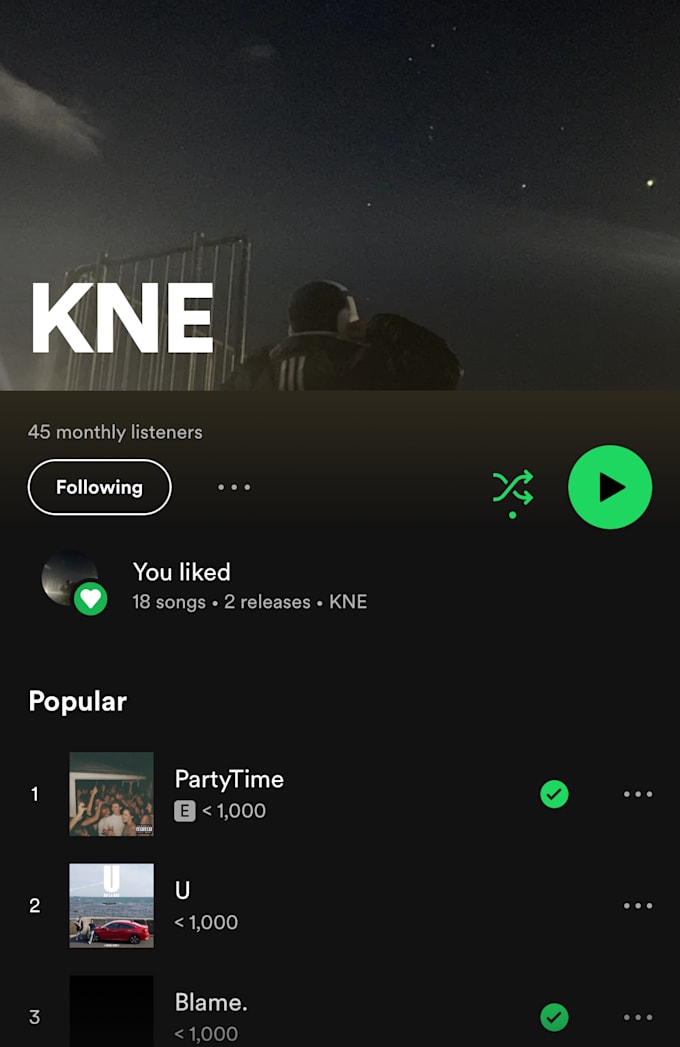 feature on your song