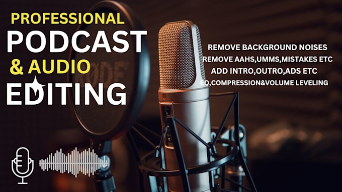 do professional audio editing and noise reduction