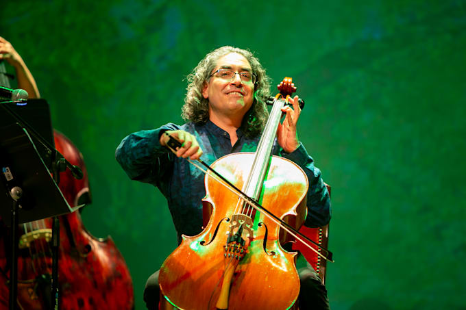 arrange and record the cello tracks to make your song wonderful