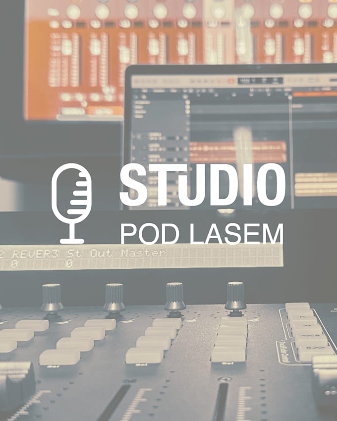 professionally mix and master your song