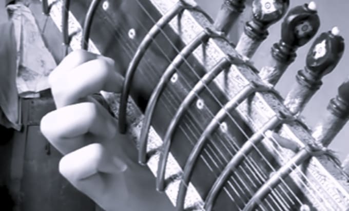 play acoustic and electric sitar for you