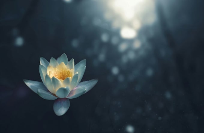 do tranquil soundscapes for meditation