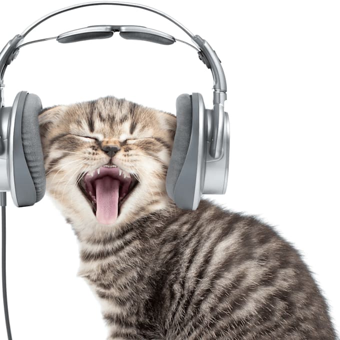 voice anything that you want me to voice