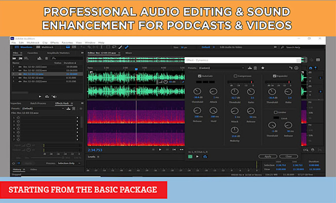 do professional audio editing and sound enhancements