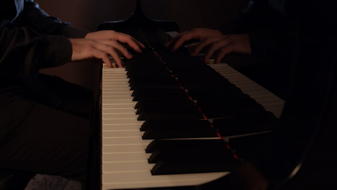 do a professional transcription for you