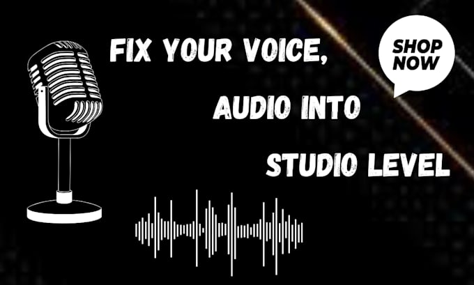 professional audio cleaning and voice cleanup  studio quality
