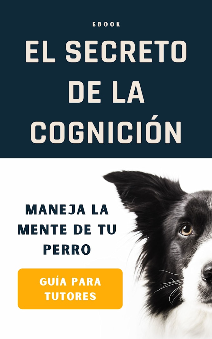 tell your stories through writing and my voice