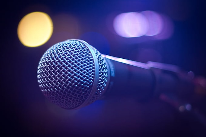 do professional urdu voice over
