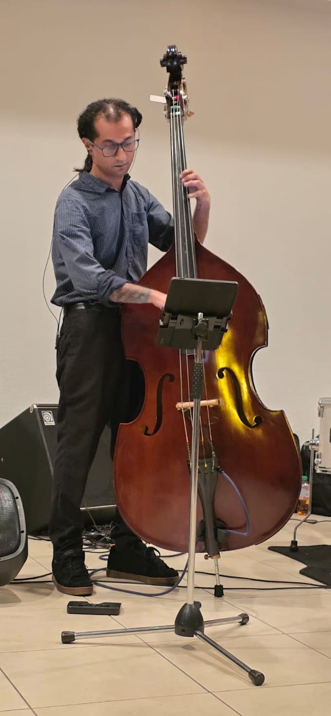 record professional double bass for your song
