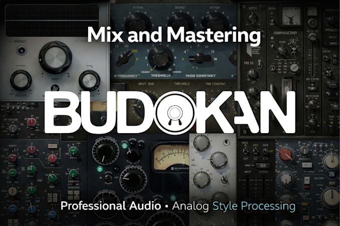 professionally mix and master your song