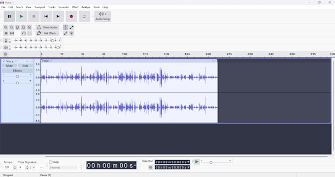 voice act in your videos
