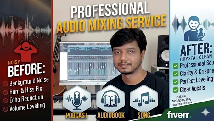 do professional audio mixing, mastering, and noise reduction