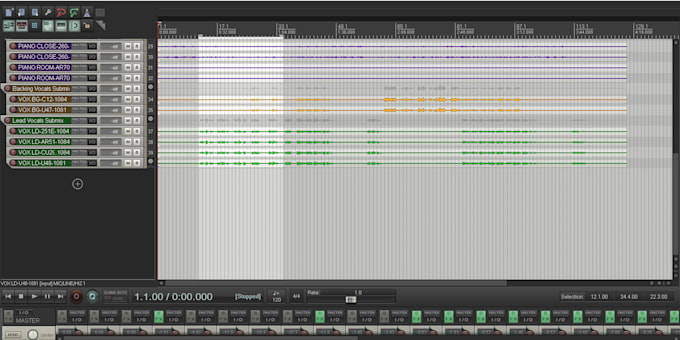 mix master or engineer your music or audio project