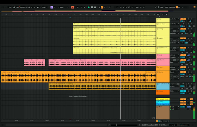 mix and or master your project