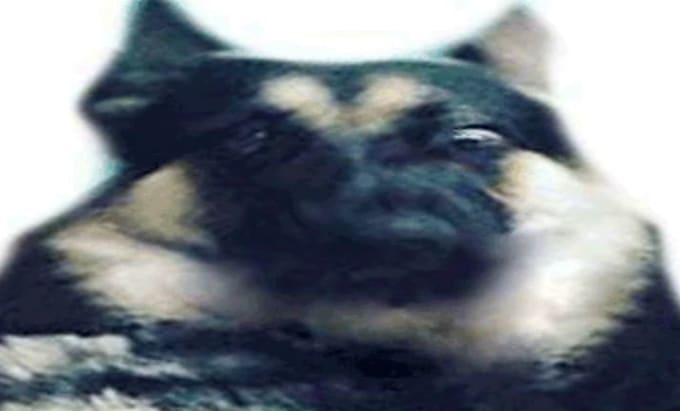 bark like a realistic dog