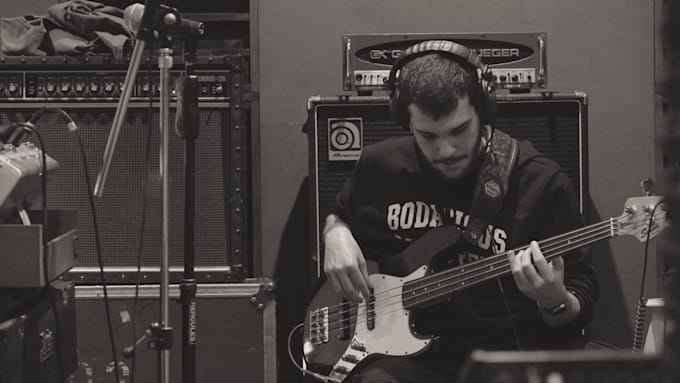 be your fretless bass player for your song
