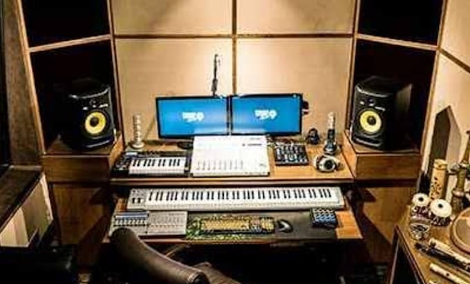 professional hindi voice over and dubbing