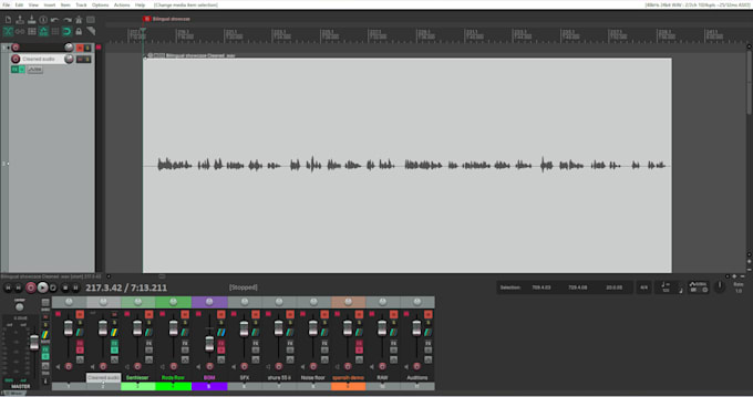 record a professional bilingual elearning voice over