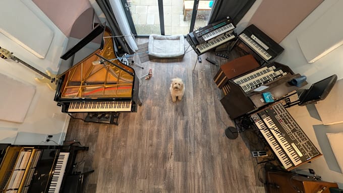 add quality, real exgenesis owned instruments to your tracks