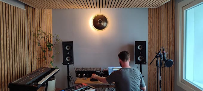 produce a professional custom instrumental in any style