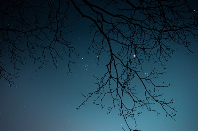make exclusive ambient music for you