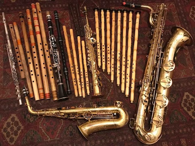 record highly profesional saxophone for you