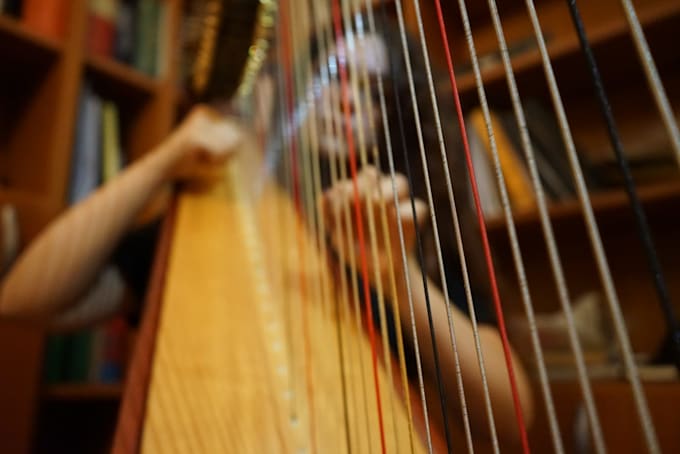 record the harp for your project