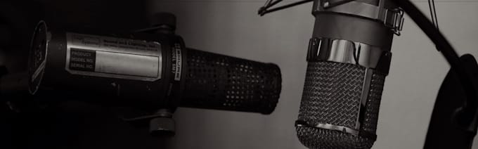 do amharic voice over task