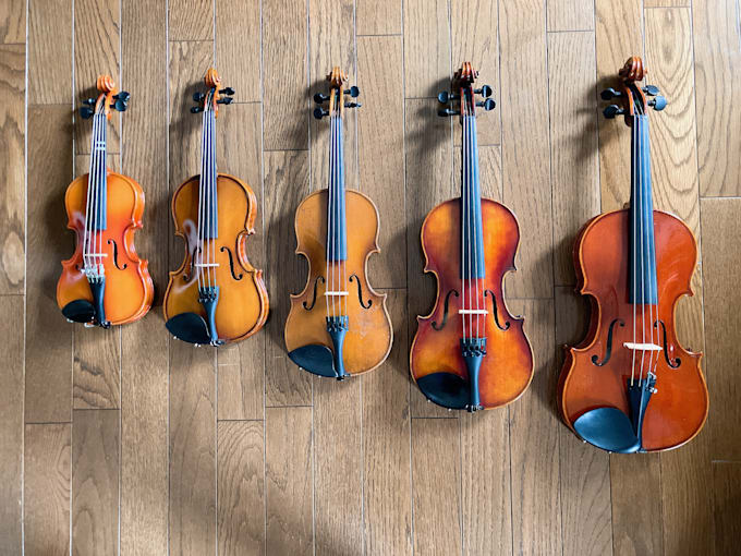 arrange and record professional violin and viola tracks for your project