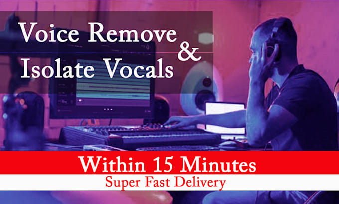 remove vocals professionaly from any audio