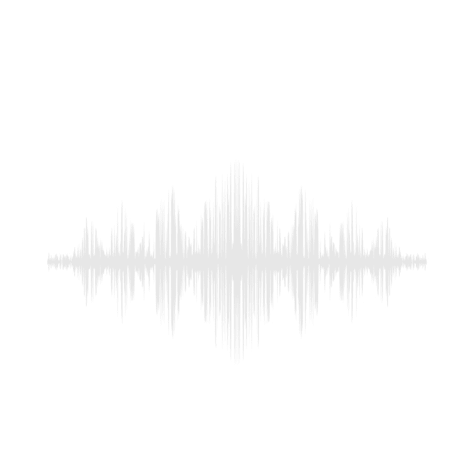 record a professional youtube voiceover for your channel