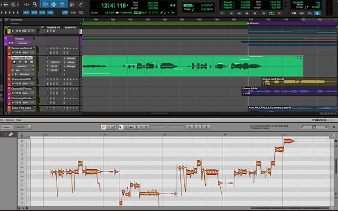 professionally edit, tune and mix your vocals