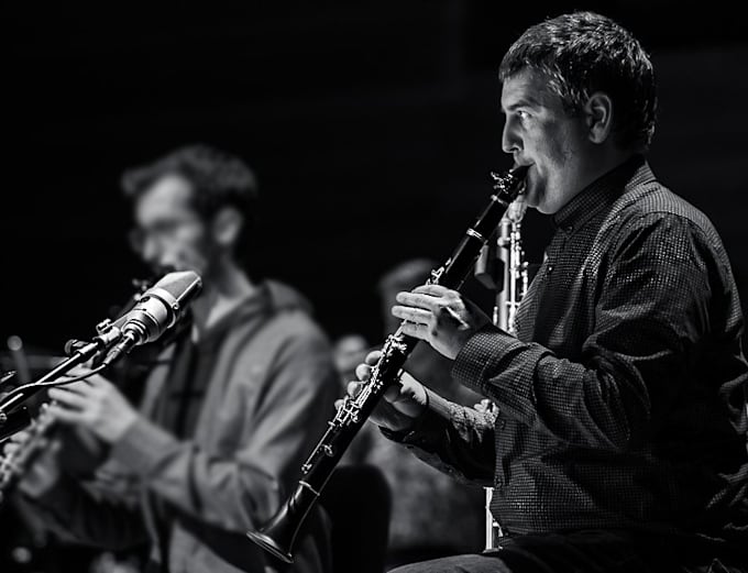 record clarinet, bass clarinet for your purposes