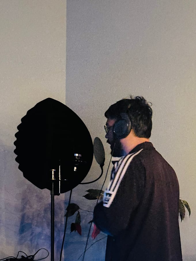 write industry standard punjabi or hindi lyrics