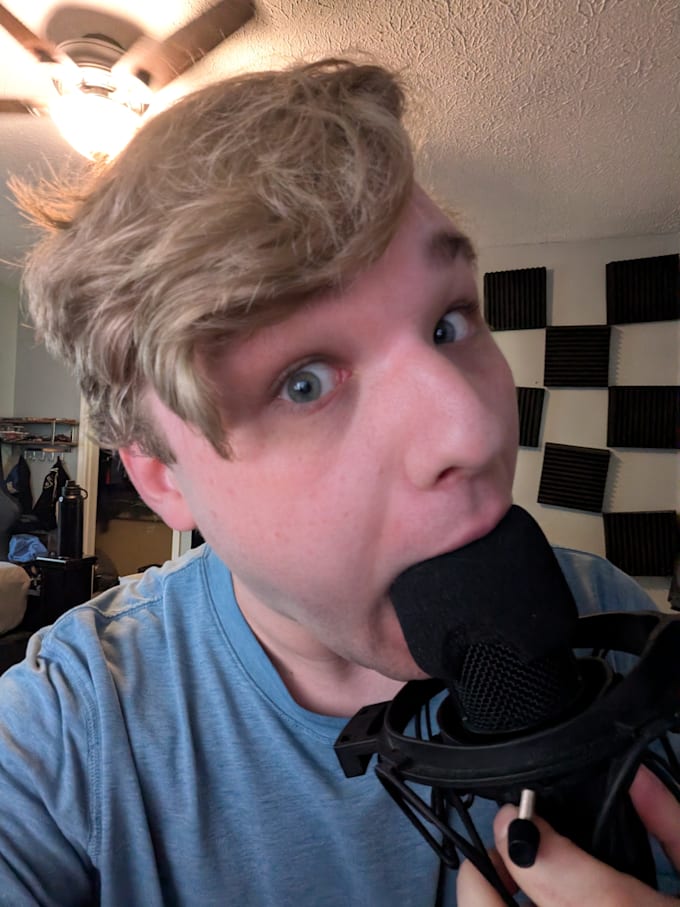 provide professional studio vocals to your song