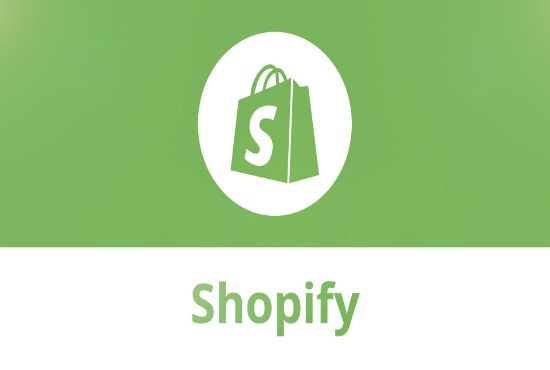 Gig Preview - Do all shopify any development and design work