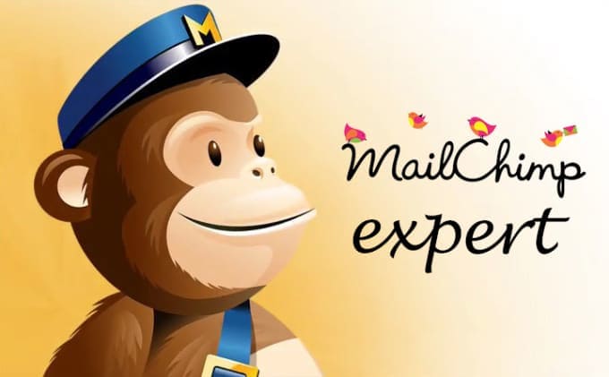 Gig Preview - Be your mailchimp and aweber expert