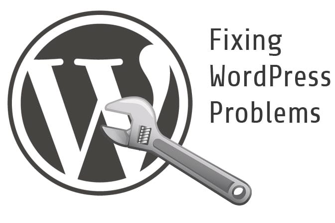 Gig Preview - Do wordpress fix,setup and custom service