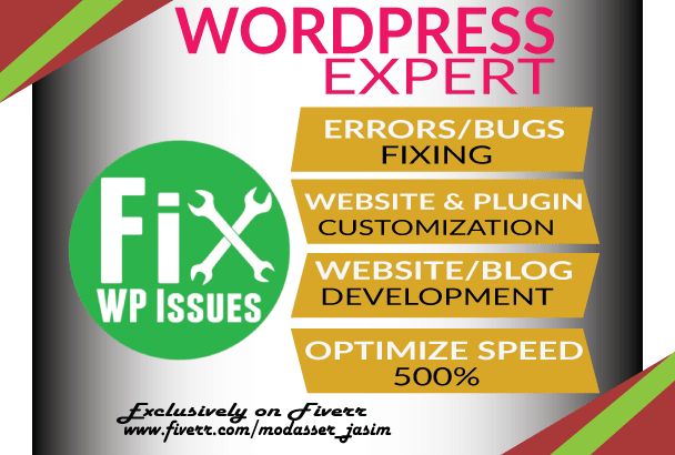 Gig Preview - Fix any wordpress errors or issues within 2 hours