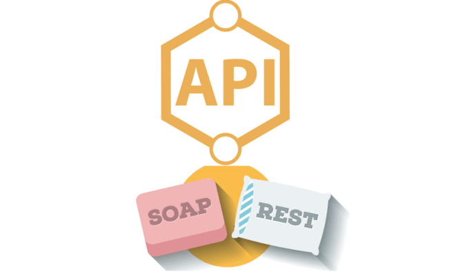 Gig Preview - Create and integrate rest full API for you