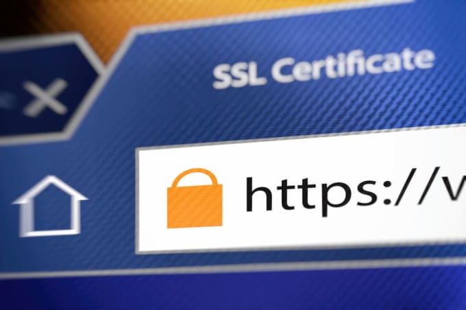 Gig Preview - Issue and install SSL certificate