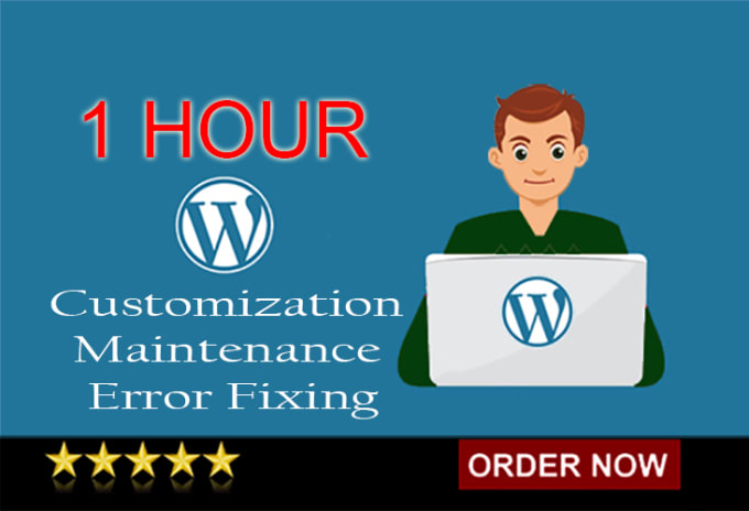 Gig Preview - Do 3 hour of wordpress customization and error fixing