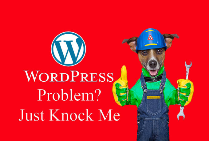 Gig Preview - Fix wordpress website issues or problems or errors