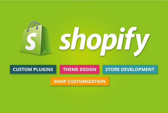 Gig Preview - Build custom shopify store for your business