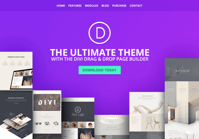 Gig Preview - Develop a website using divi theme or visual composer