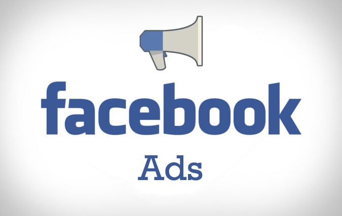 Gig Preview - Create and manage facebook ad campaigns for you