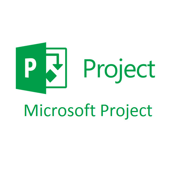 Gig Preview - Design a project plan with microsoft project